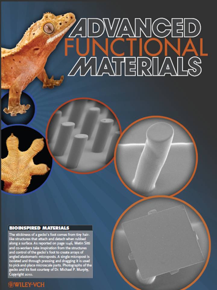 Advanced Functional Materials