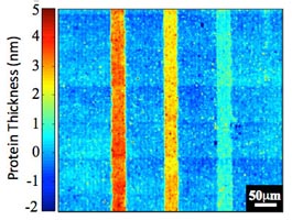 quasi-3D plasmonic crystal