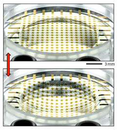 photo detector array